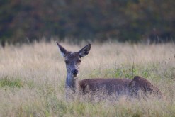 Imagen de Jürgen en Pixabay