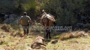 Predicar y dar trigo