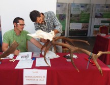 Curso homologación de trofeos