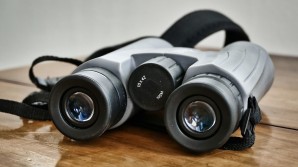 Crédito de la imagen Pixabay