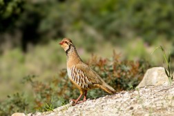 Crédito de la imagen: Pixabay