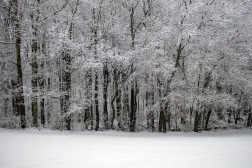 Crédito de la imagen: Pixabay