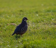 Crédito de la imagen: Pixabay