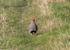 Crédito de la imagen: Pixabay