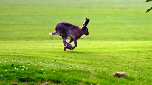 Crédito de la imagen:Pixabay