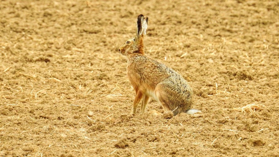 Crédito de la imagen:Pixabay