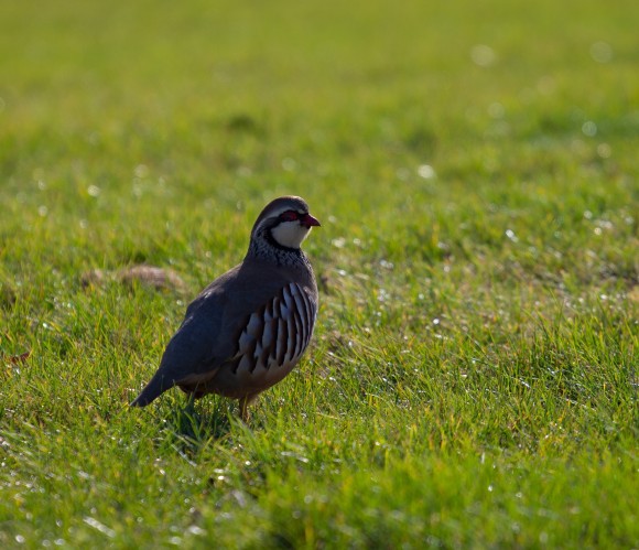 Crédito de la imagen: Pixabay