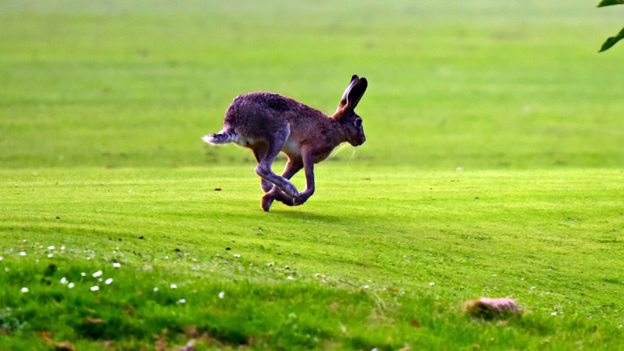 Crédito de la imagen:Pixabay