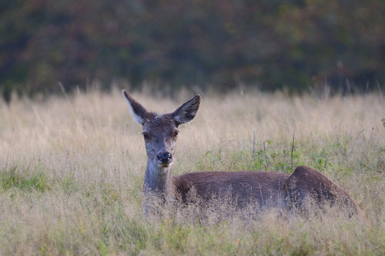 Imagen de Jürgen en Pixabay