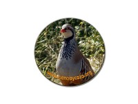 IMÁN DE NEVERA PERDIZ ROJA (10 unidades)